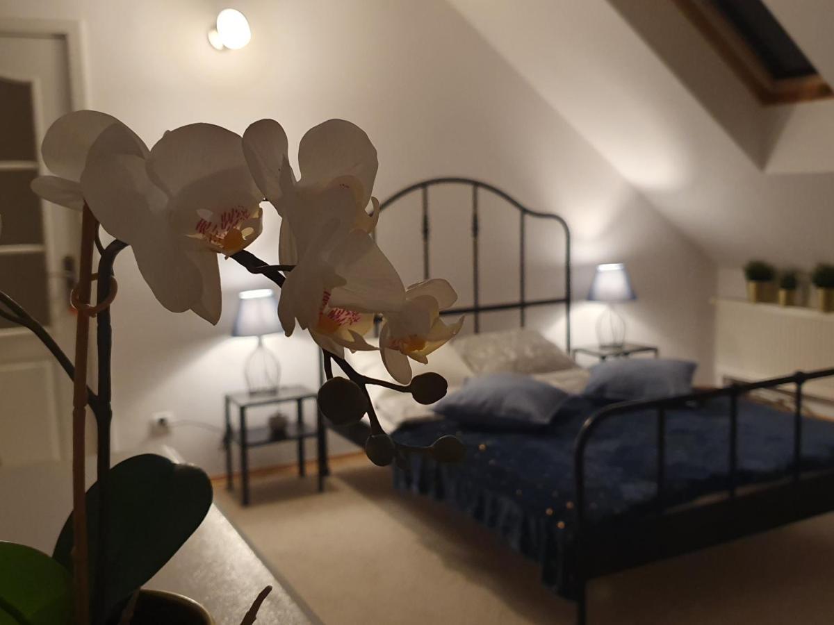 Mieszko Rooms Legionowo Buitenkant foto